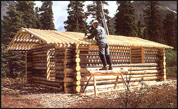 Dick Proenekke's cabin, picture taken from 'Alone in the Wilderness' which is available on VHS and DVD