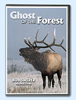 Buy Ghost of the Forest on DVD by Bob Swerer Nature Videos