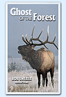 Buy Ghost of the Forest on VHS by Bob Swerer Nature Videos